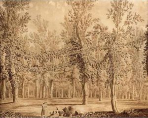 A View Of A Forest With Women Resting In The Foreground A View Of A Forest With Women Resting In The Foreground