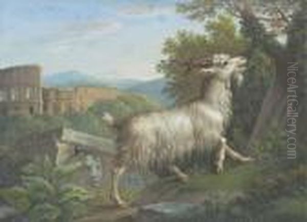 A Goat Eating By The Colosseum, Rome; And A Stag Eating, A Lakebeyond - view 1