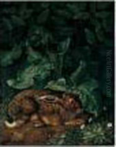 A Hare Surrounded By Foliage, Daisies And Clover In The Foreground - view 1