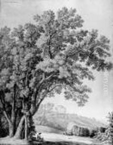 A View Of The Villa Aldobrandini, Frascati by Jacob Philipp Hackert