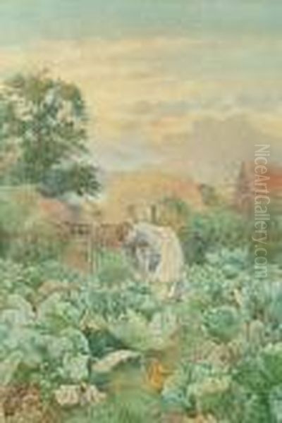Woman Tending Cabbages In A Countrygarden - view 1