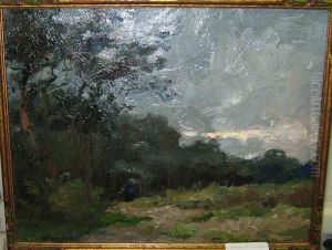 Houtsprokkelaarster Aan De Rand Van Het Bos