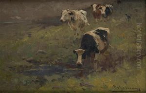Vaches Au Bord Du Cours D'eau Vaches Au Bord Du Cours D'eau