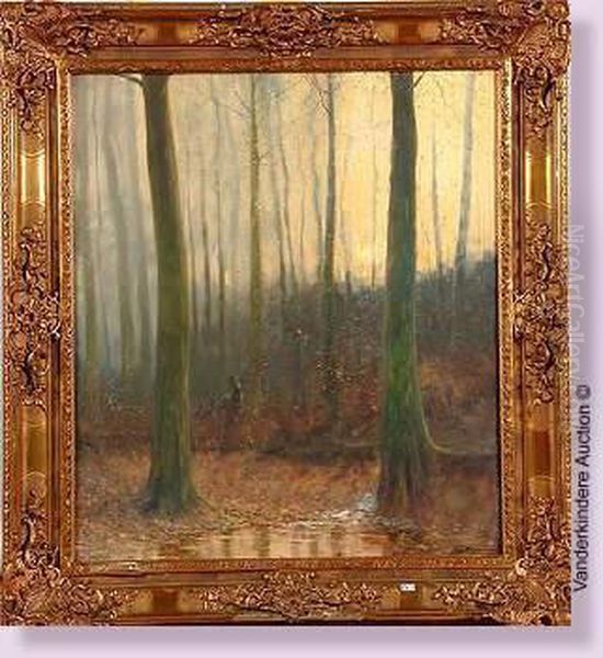 Cerf Et Biches En Foret - view 1