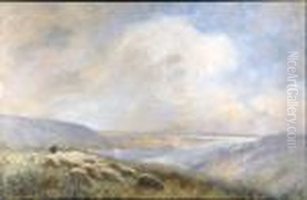 Berger Et Ses Moutons - view 1