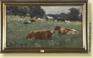 Vaches Au Pre Vaches Au Pre