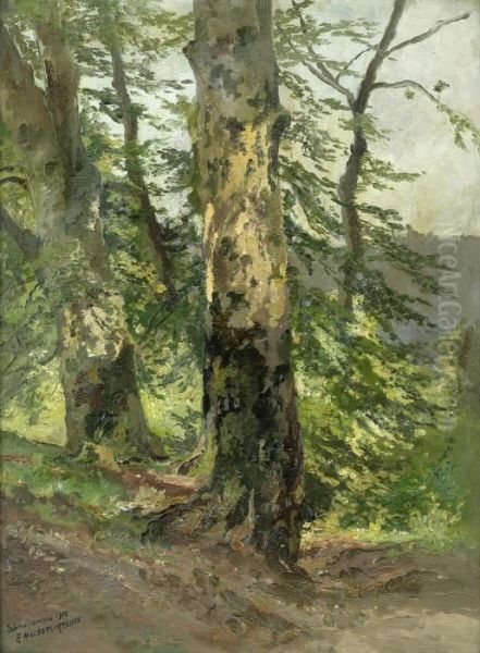 Zwei Baume In Waldiger Landschaft - view 1