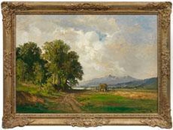 Heuernte In Denbayerischen Voralpen - view 1
