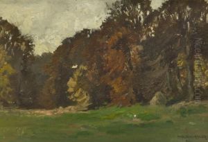Baumlandschaft Baumlandschaft