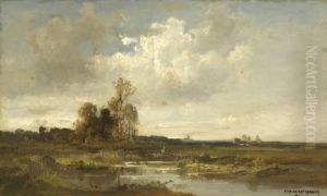 Moorlandschaft