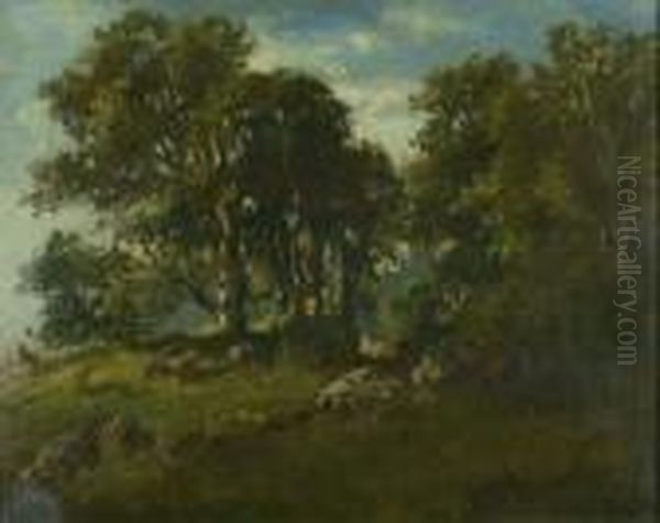 Waldlandschaft. - view 1