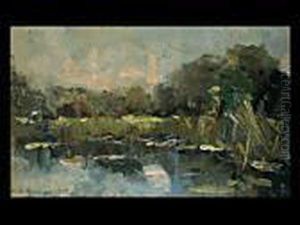 Moorlandschaft Moorlandschaft