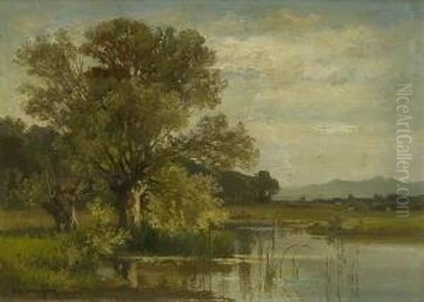 Uferlandschaft. - view 1