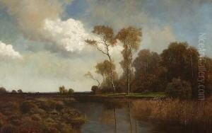 Herbstliche
 Moorlandschaft.