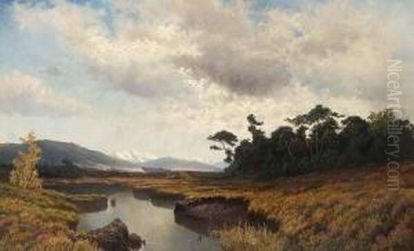 Moorlandschaft - view 1