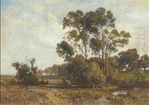 Baumlandschaft Mit Bachlauf Rechts Baumlandschaft Mit Bachlauf Rechts