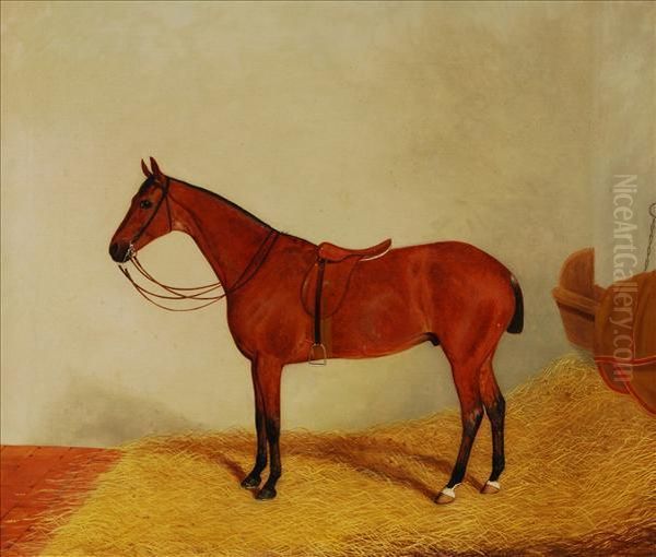 A Bay Horse In A Stableinterior - view 1