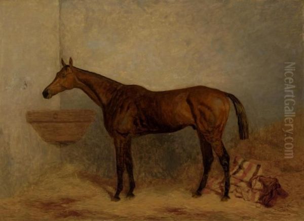 Isonomy, A Bay Colt In A Stall - view 1