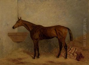 Isonomy, A Bay Colt In A Stall by Harry Hall