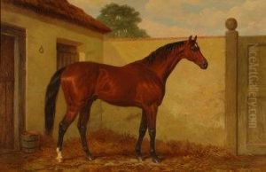 Kingcraft-study Of A Bay Horse