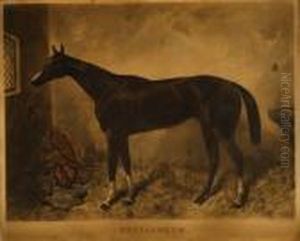 Retrato De Un Caballo by Harry Hall