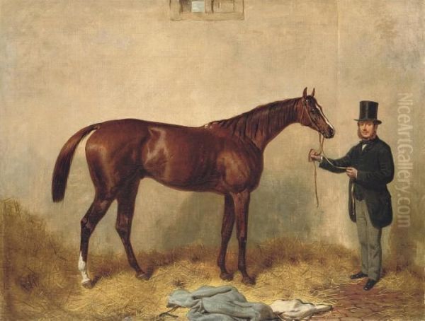 Loiterer, Held By A Trainer In A Stable - view 1
