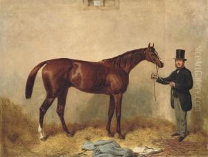 Loiterer, Held By A Trainer In A Stable