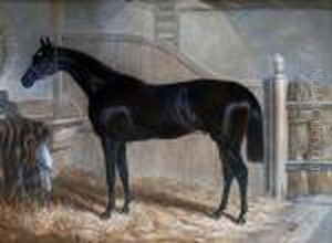 The Racehorse by Harry Hall