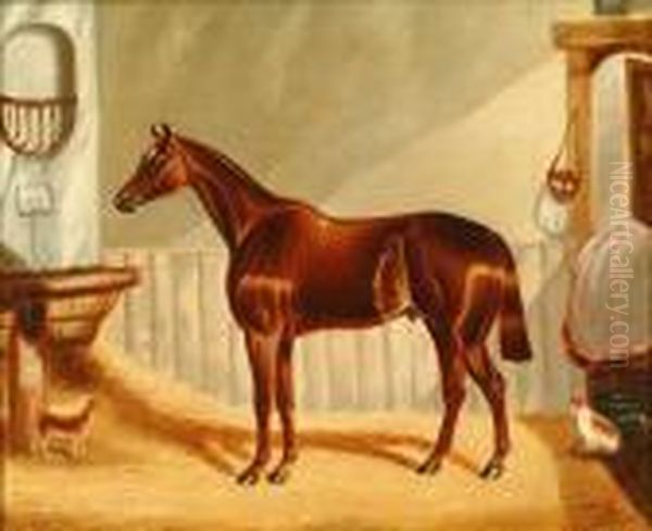 Toptham: Study Of Bayhorse In A Stable Interior - view 1