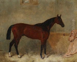'starter' In A Stable