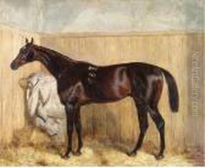 A Bay Racehorse In A Stable by Harry Hall