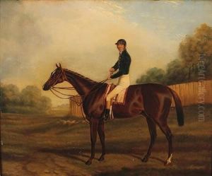 Winner Ofthe Derby