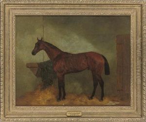 Sir John Astley's 'fortitude', Winner Of The 'all Aged' Race At Newmarket