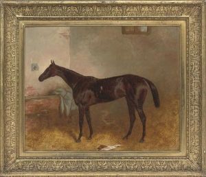 A Favourite Racehorse