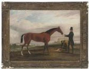 Malacca
, Winner Of The Cambridge Stakes