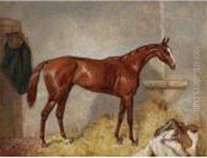 Portrait Of Blair Atholl, A Bay Racehorse In A Loose Box by Harry Hall