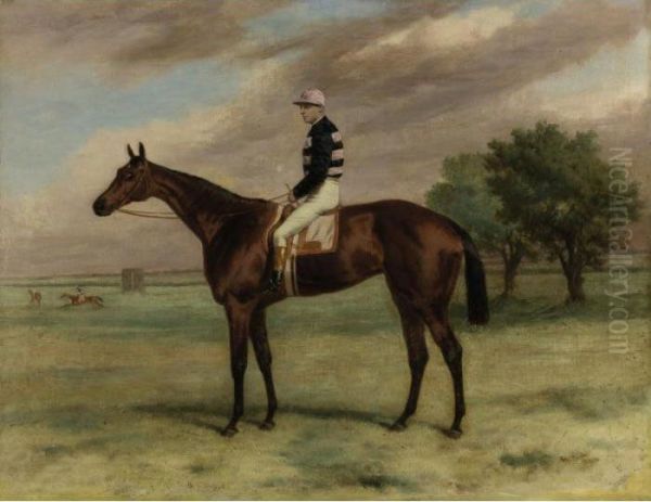 The Racehorse Shannon With F. Webb Up - view 1
