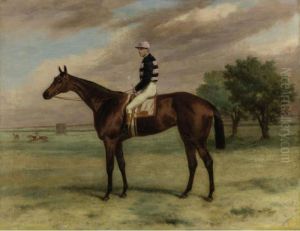 The Racehorse Shannon With F. Webb Up