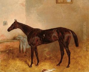 A Bay Mare In A Stable.