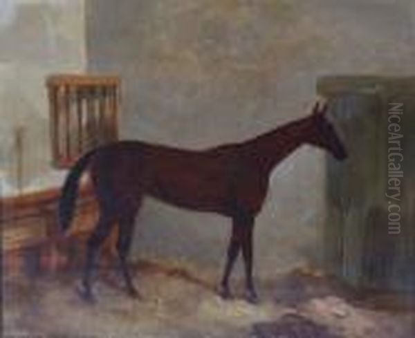 Bay Hunter In A Stable - view 1
