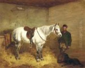 A Saddled Grey Pony And Groom In A Stable With A Retriever