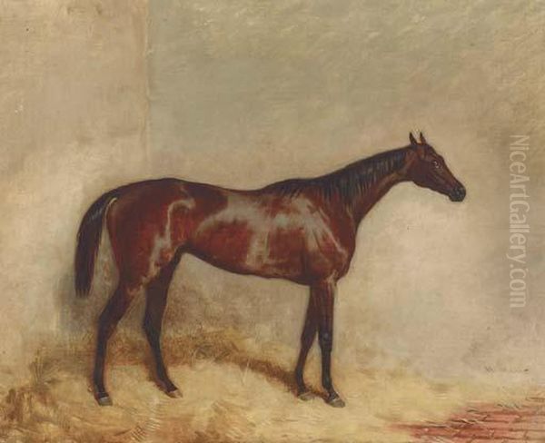 Etoile Du Nord In His Stable - view 1