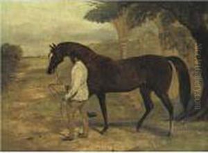 Irish Birdcatcher Led By A Groom