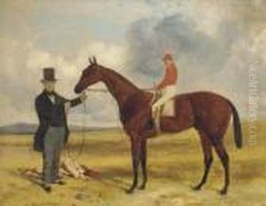 A Trainer Holding A Bay Racehorse, Jockey Up, At Newmarket