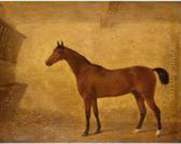 Portrait Of A Bay Horse In A Loose Box - view 1