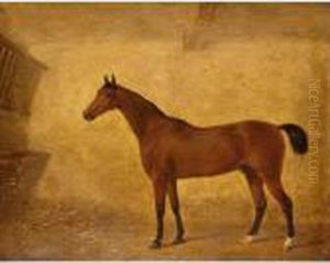 Portrait Of A Bay Horse In A Loose Box by Harry Hall