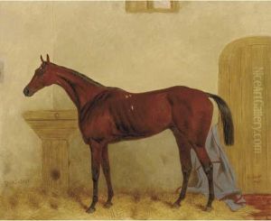 Gladiateur: A Bay Racehorse In A Stable by Harry Hall