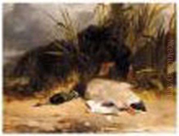 Gordon Setter With Mallard - view 1