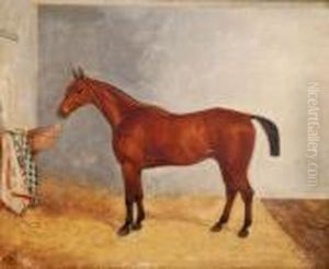 The Bay "legacy" In A Stable by Harry Hall