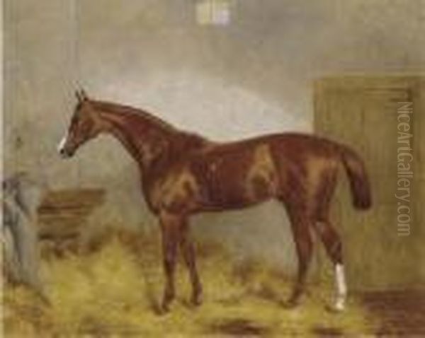 Cymbal, A Chestnut Racehorse In A Stable - view 1